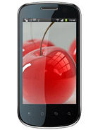 Best available price of Celkon A19 in Afghanistan