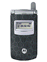 Motorola T725 at Usa.mobile-green.com