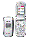 Samsung X490 at .mobile-green.com